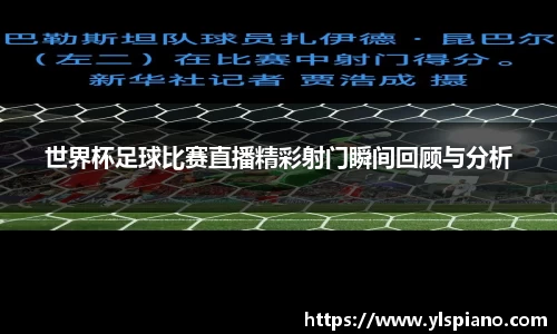 安信12娱乐