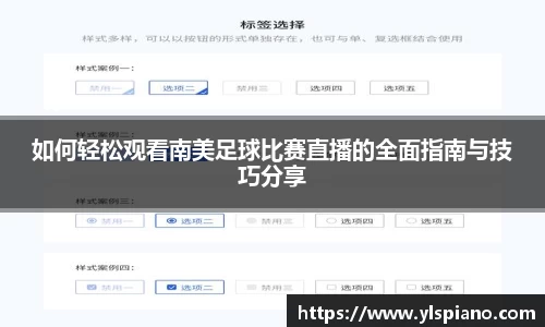 如何轻松观看南美足球比赛直播的全面指南与技巧分享
