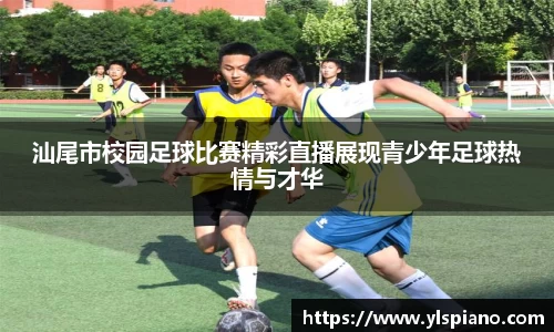 安信12