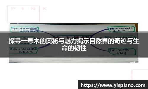 安信12
