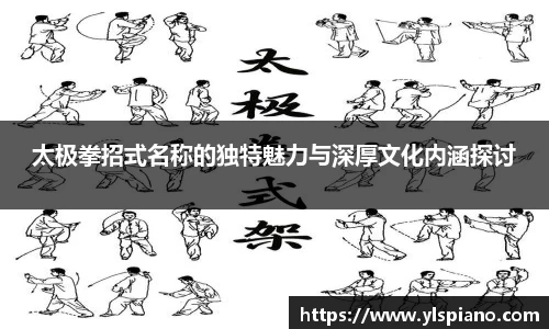 太极拳招式名称的独特魅力与深厚文化内涵探讨
